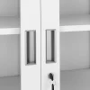 Aktenschrank mit Glastüren 90 x 185 cm weiss