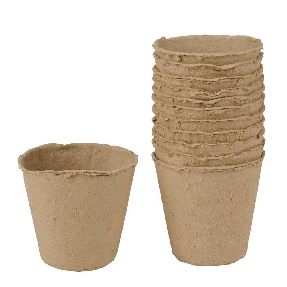 Anzuchttopf rund 5.5 cm 12er Set