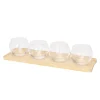 Apéroschale Servierset Glas 5-teilig