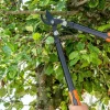 Astschere 53 cm