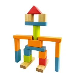 Baustein Holz Set 50-teilig bunt