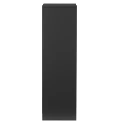 Bücherregal TAINARA 3 Fächer 30 x 80 cm schwarz