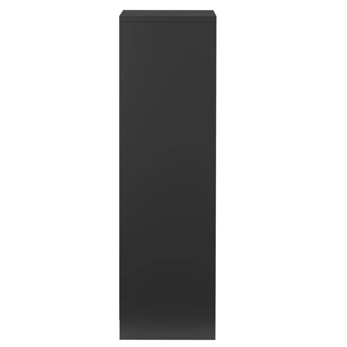 Bücherregal TAINARA 3 Fächer 30 x 80 cm schwarz