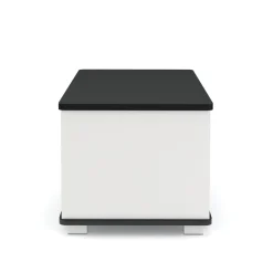 Beistelltisch CALLISTO 80 x 40 x 35 cm schwarz/weiss