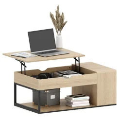 Beistelltisch SIERRA mit Stauraum 100 x 55 x 37 - 55 cm braun