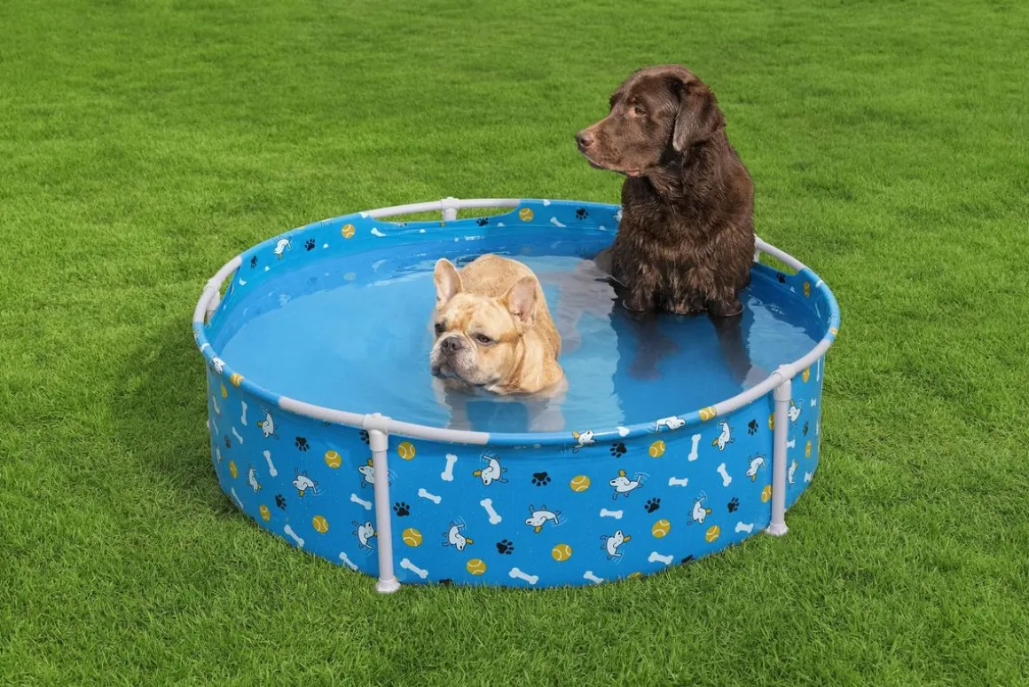 Bestway Hundepool Fetchin' Fun 122 x 30 cm