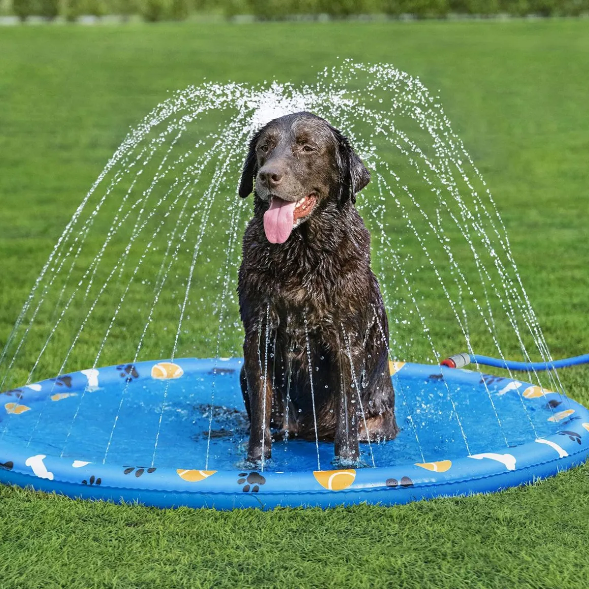 Bestway Hundespielzeug Sprinklermatte Fetchin' Fun 147 cm