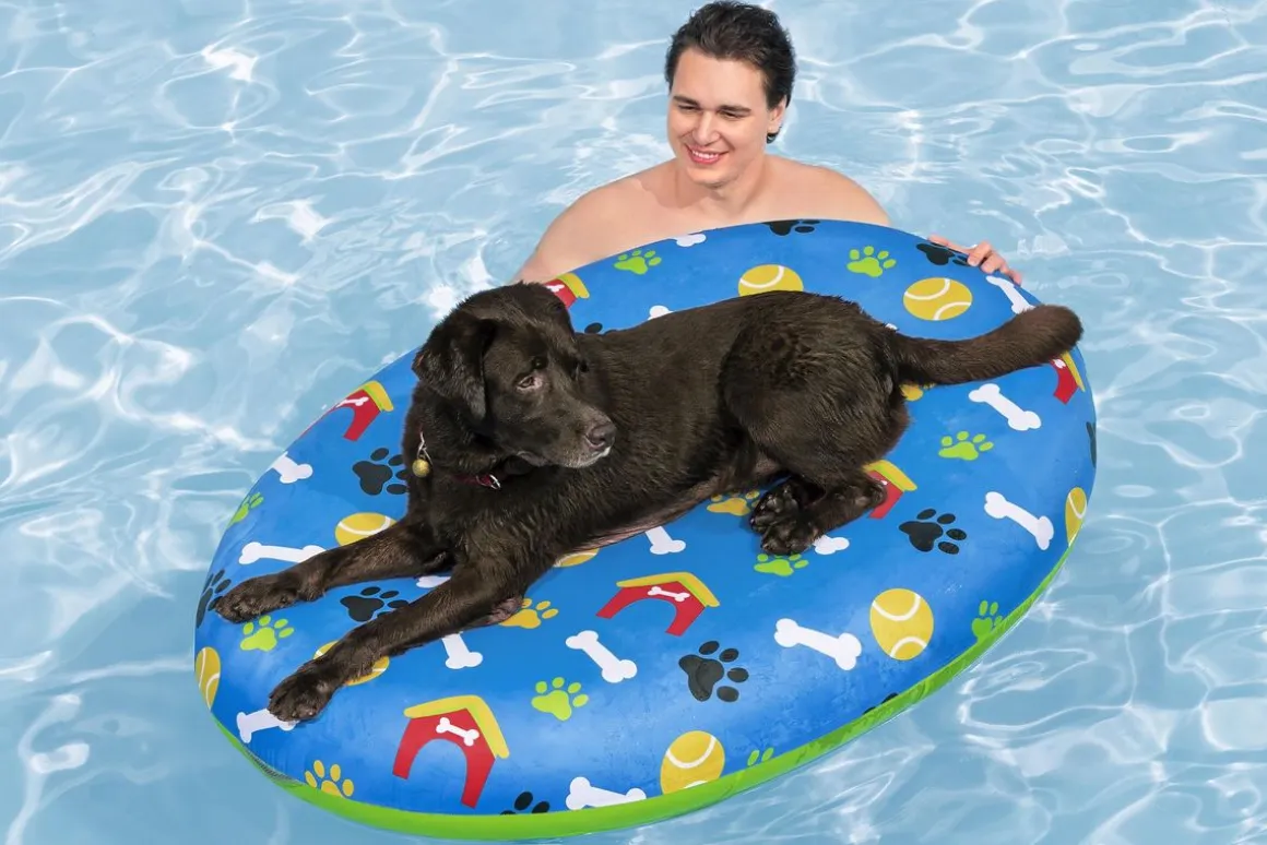 Bestway Luftmatratze für Hunde Fetchin' Fun 142 x 95 cm