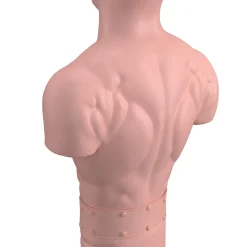 Boxdummy 170 cm