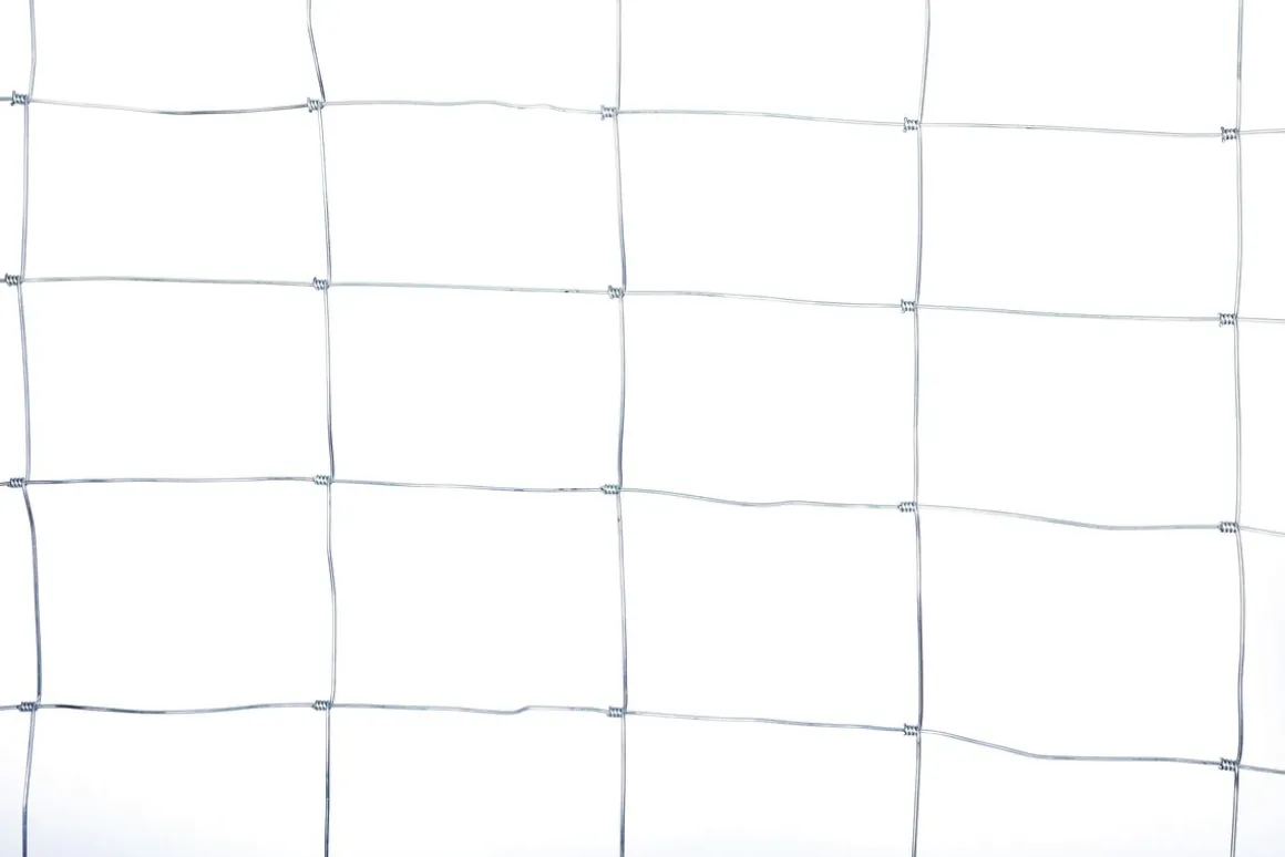 Drahtzaun 1 m x 50 m