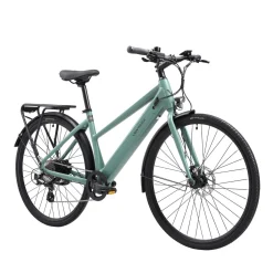 E-Bike Citybike CRUZE grün