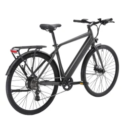 E-Bike Citybike DASH anthrazit