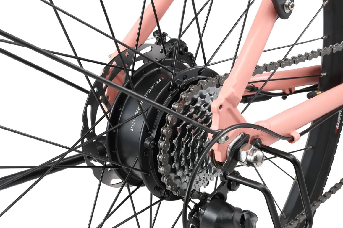 E-Bike Citybike SOFIA rosa