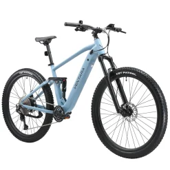 E-Bike Fully Mountainbike 29