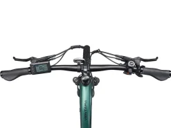 E-Bike Mountainbike 29" AVALANCHE L/XL grün