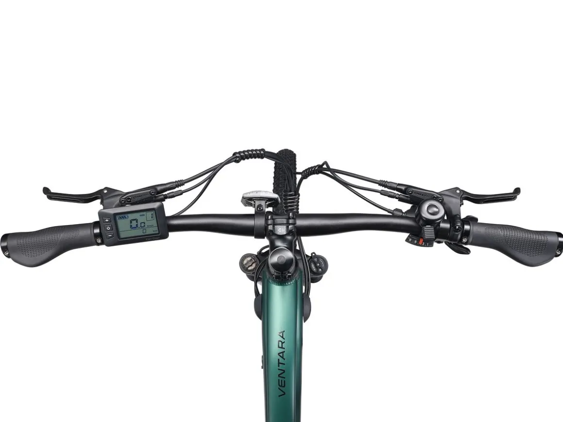 E-Bike Mountainbike 29" AVALANCHE L/XL grün