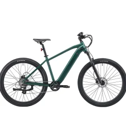 E-Bike Mountainbike 29