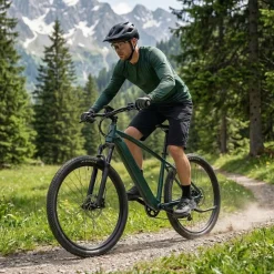 E-Bike Mountainbike 29