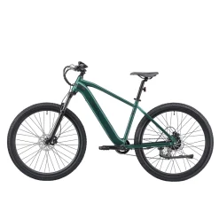 E-Bike Mountainbike 29