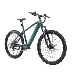 E-Bike Mountainbike 29