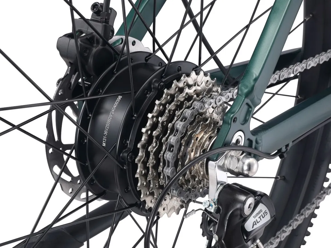 E-Bike Mountainbike 29" AVALANCHE L/XL grün