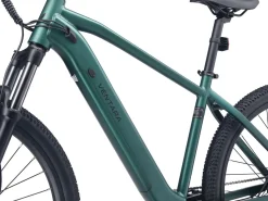 E-Bike Mountainbike 29