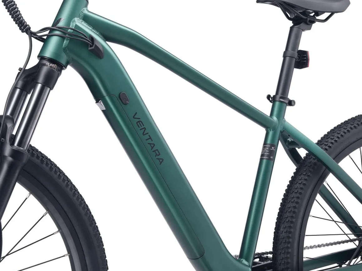 E-Bike Mountainbike 29" AVALANCHE L/XL grün