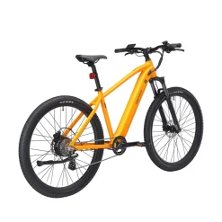 E-Bike Mountainbike 29" AVALANCHE L/XL gelb