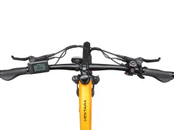 E-Bike Mountainbike 29
