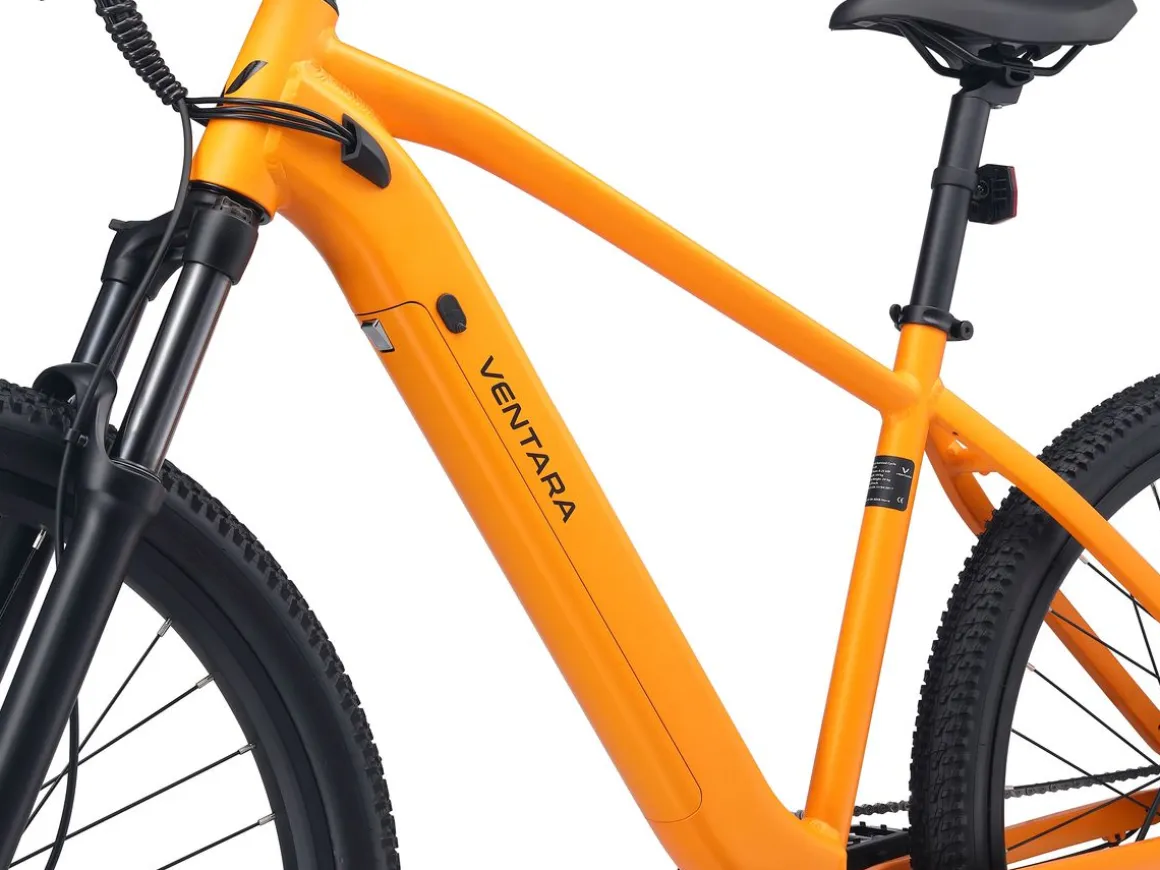 E-Bike Mountainbike 29" AVALANCHE L/XL gelb