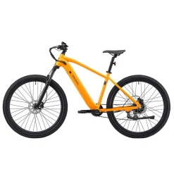 E-Bike Mountainbike 29