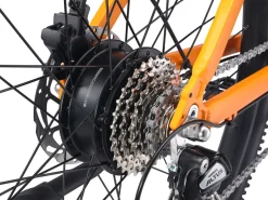 E-Bike Mountainbike 29