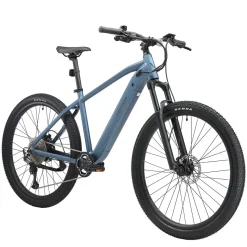 E-Bike Mountainbike 29