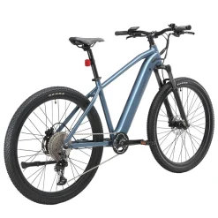 E-Bike Mountainbike 29