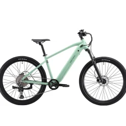 E-Bike Mountainbike 27