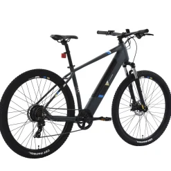 E-Bike Mountainbike 29