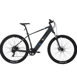 E-Bike Mountainbike 29