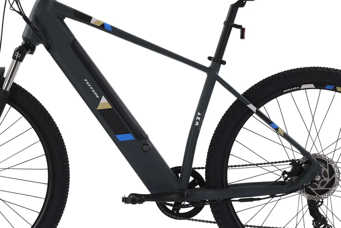 E-Bike Mountainbike 29" ORRA L/XL anthrazit