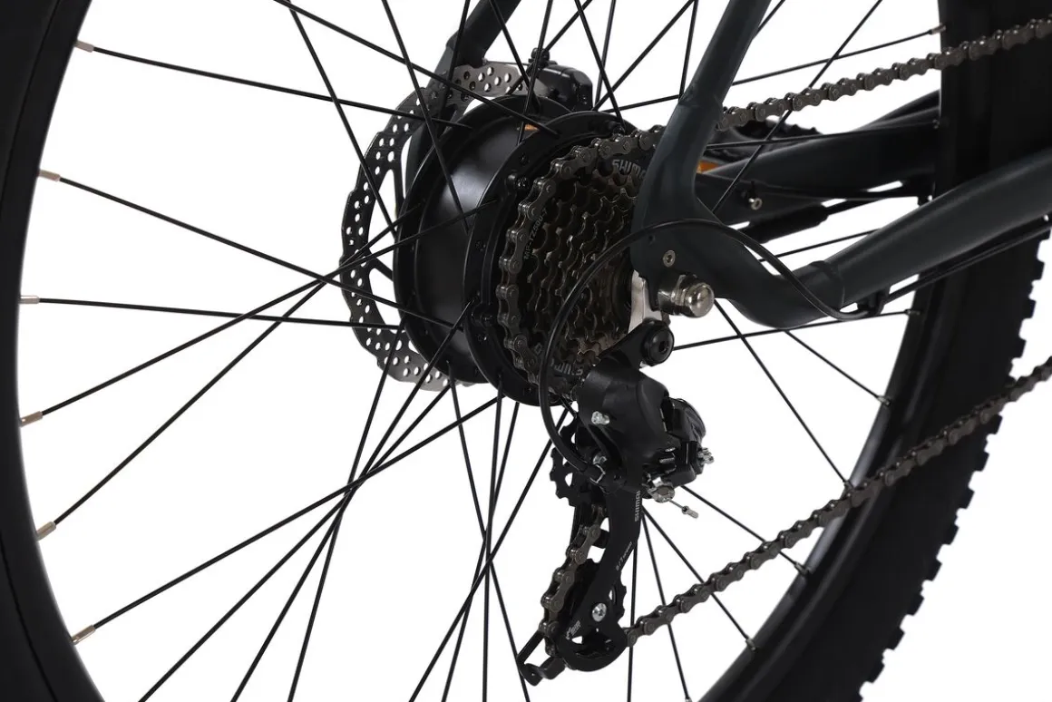 E-Bike Mountainbike 29" ORRA L/XL anthrazit