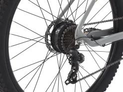 E-Bike Mountainbike 29