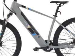 E-Bike Mountainbike 29