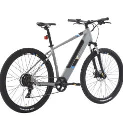 E-Bike Mountainbike 29