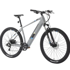 E-Bike Mountainbike 29