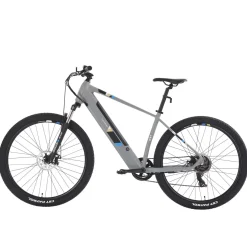 E-Bike Mountainbike 29