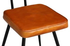 Esszimmerstuhl Leder EMMA 2er Set