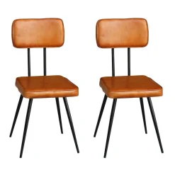 Esszimmerstuhl Leder EMMA 2er Set