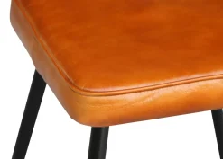 Esszimmerstuhl Leder EMMA 2er Set