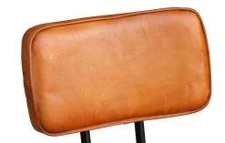 Esszimmerstuhl Leder EMMA 2er Set