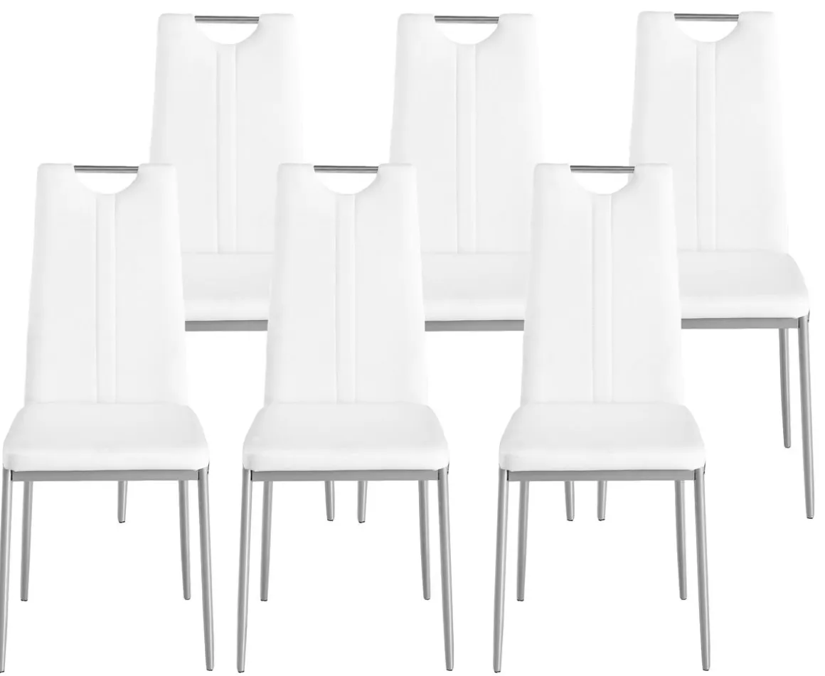 Esszimmerstuhl Leder IVO 6er Set weiss