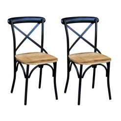 Esszimmerstuhl Vintage CLARA 2er Set